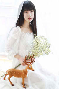 泰山和珍妮丛林1995剧情介绍