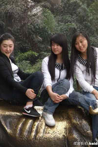 华灯初上电视剧